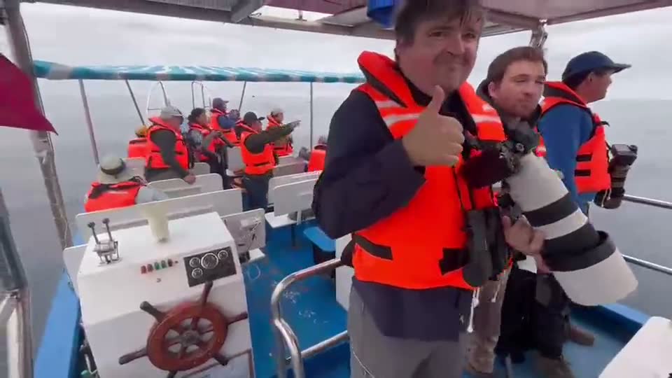 Grupo de fotógrafos a bordo durante una salida de avistamiento